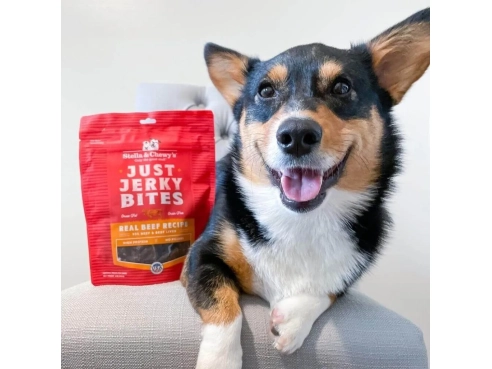 S&amp;C_dog_JustJerkyBites_Beef_6oz_2.2