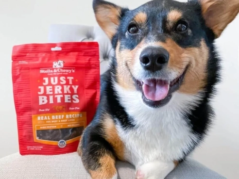 S&amp;C_dog_JustJerkyBites_Beef_6oz_2.2