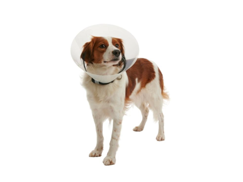 KRUUSE_buster_classic_collar_2