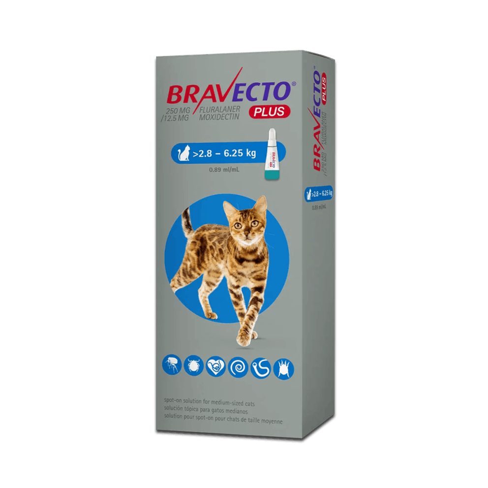 Bravecto_spoton_cats_m