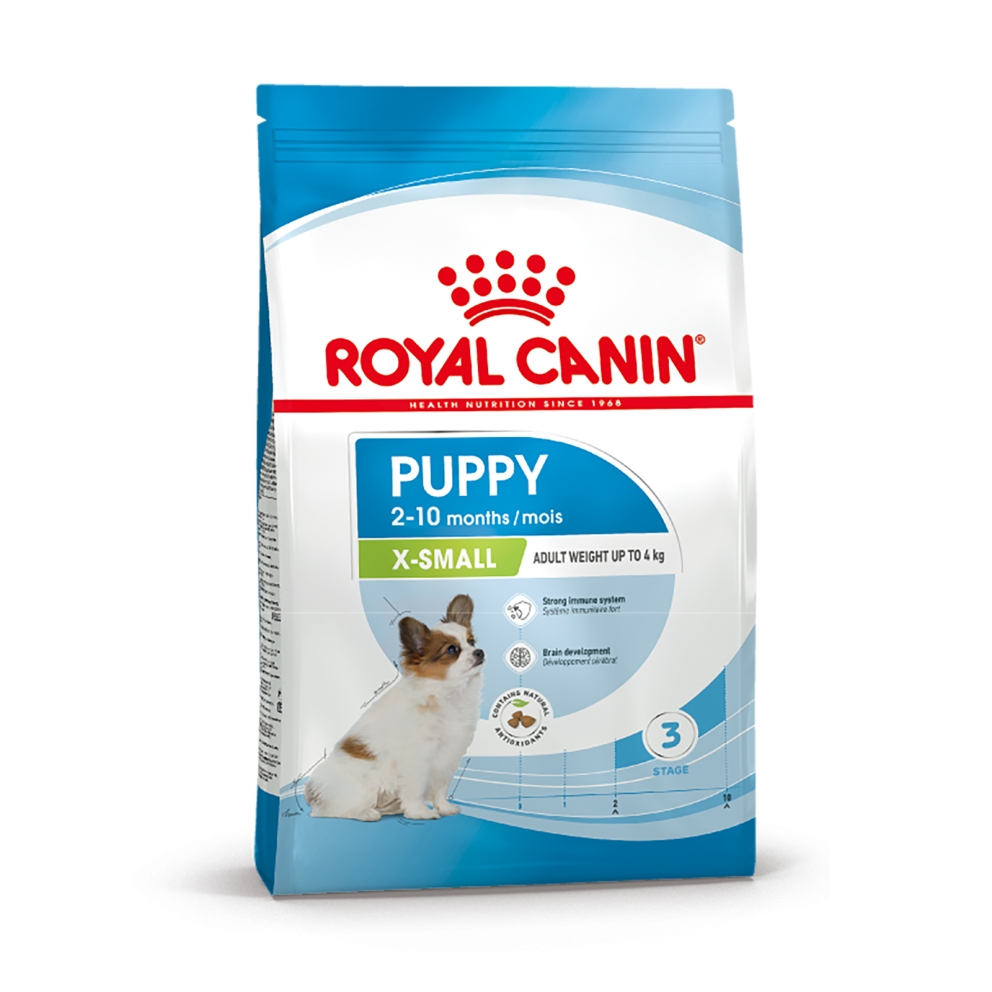 X-Small_Puppy