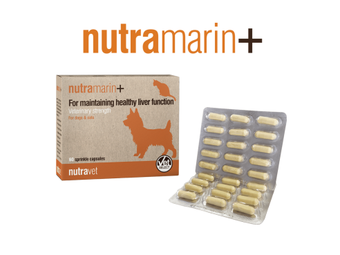 nutramarinplus