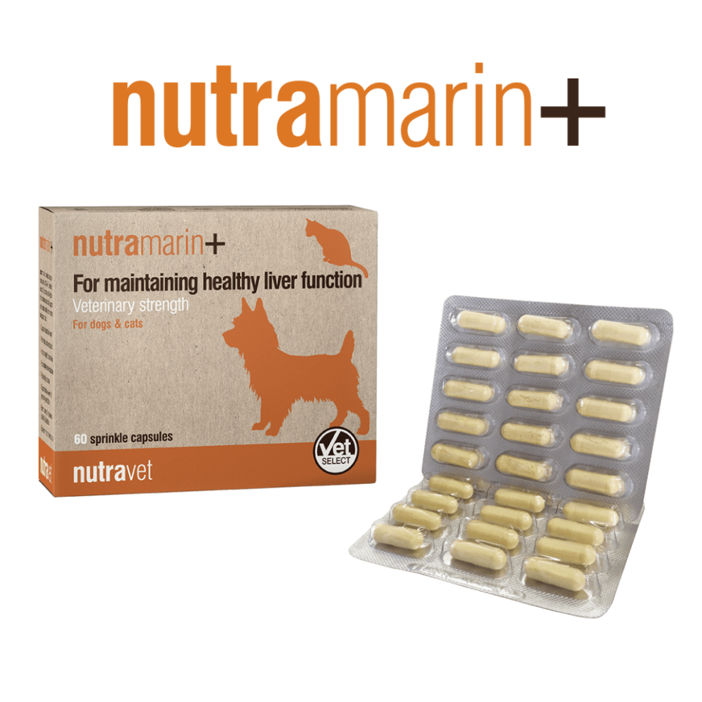 nutramarinplus