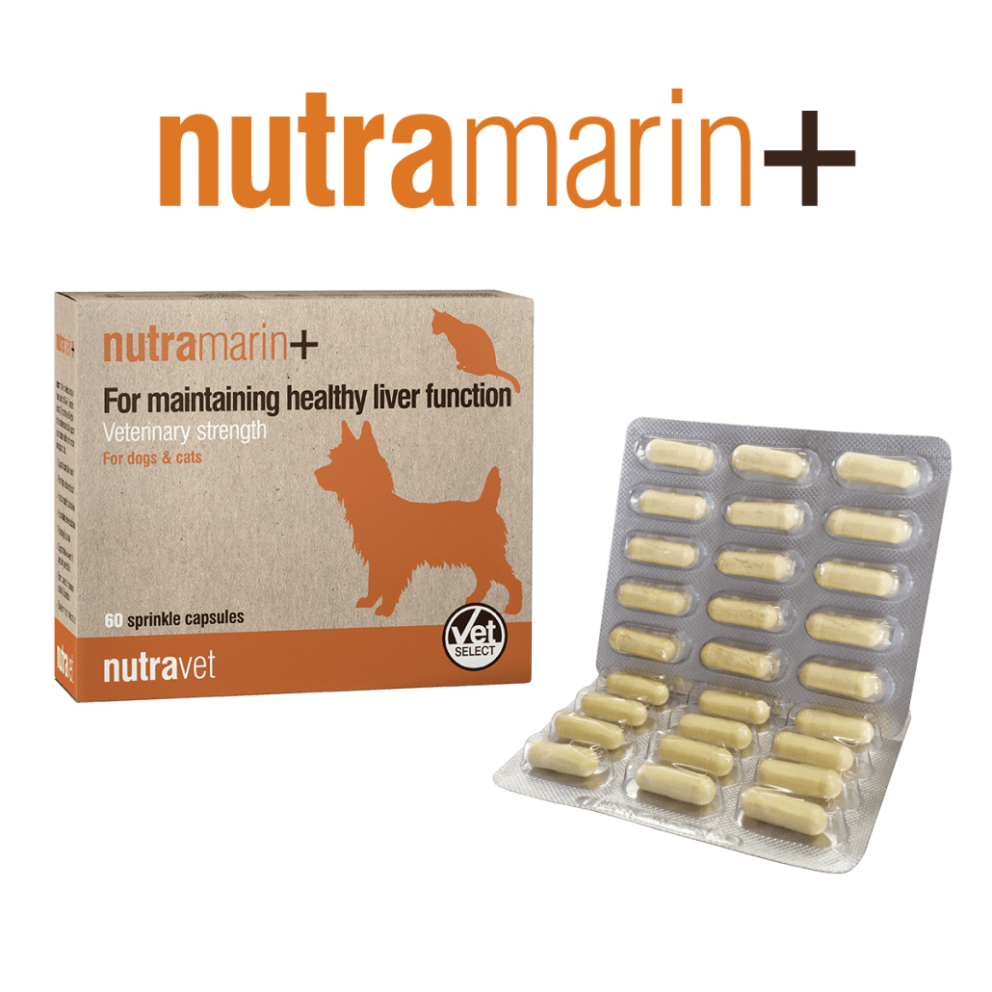 nutramarinplus