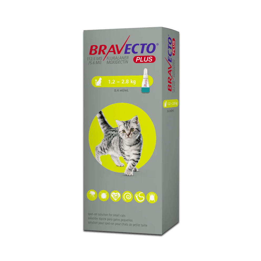 Bravecto_spoton_cats_s