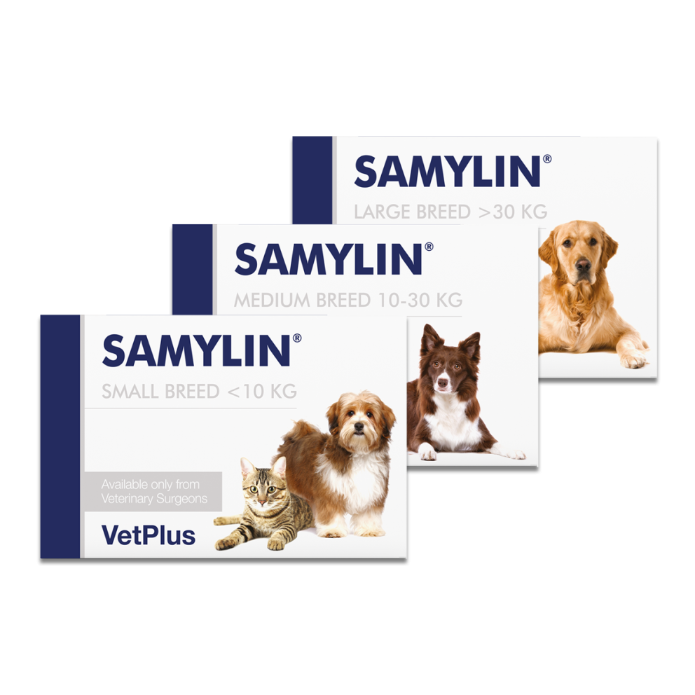 VetPlus_Samylin_Group