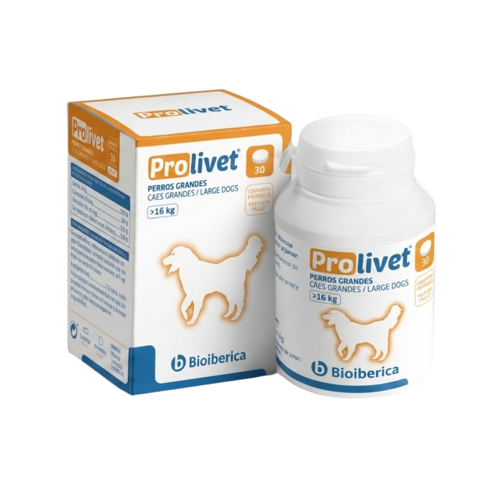 Prolivet_large_breed_dogs