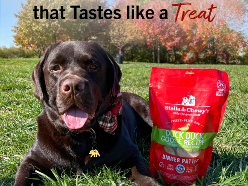 S&amp;C_dog_Freeze_Dried_Dinner_Patties_Duck_Duck_Goose_5.5oz_1.1