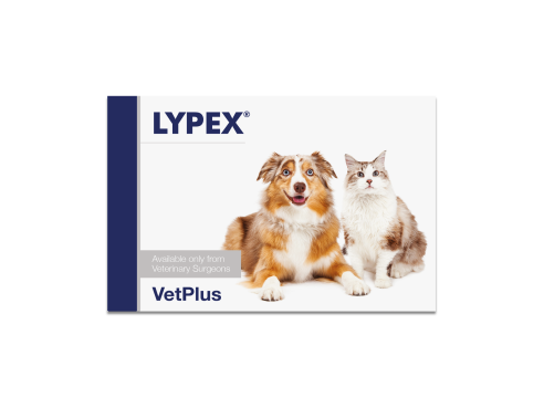 VetPlus_Lypex