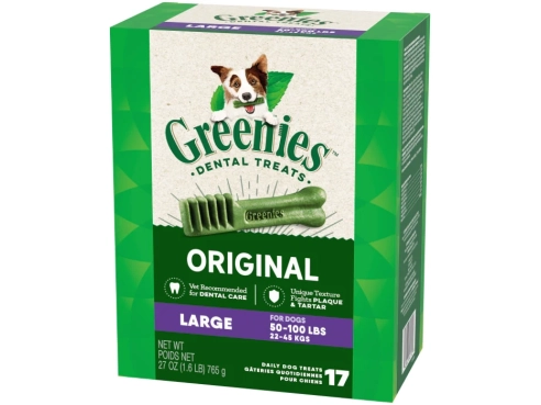 Dental_Bone_Large_17