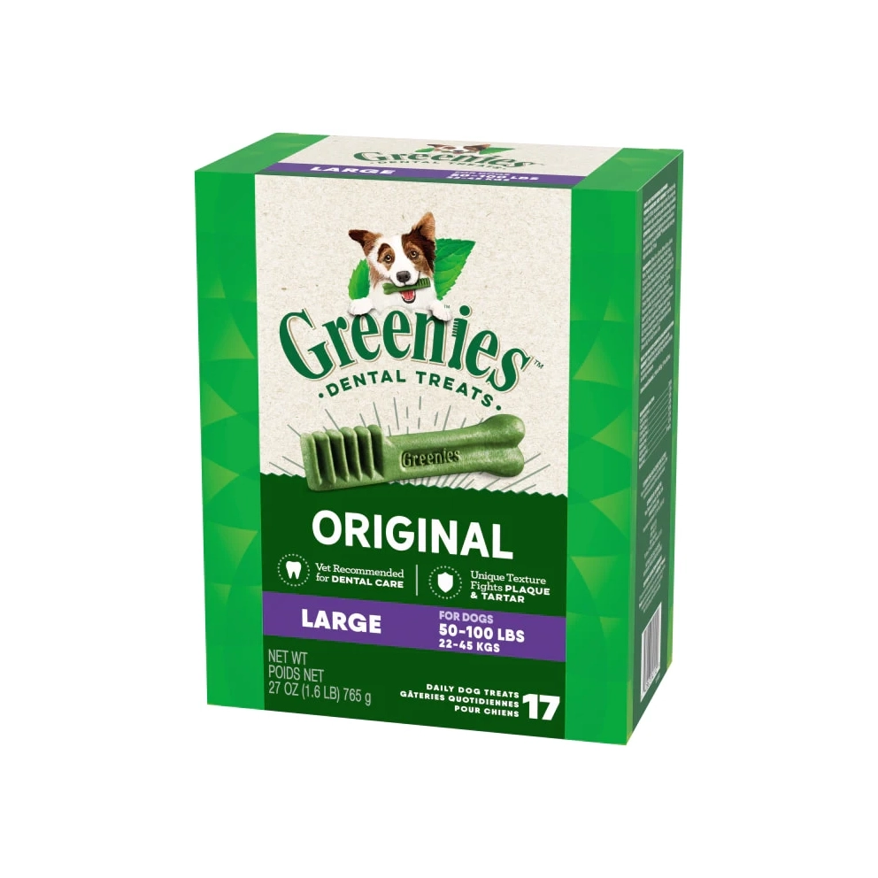 Dental_Bone_Large_17