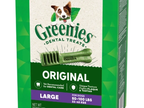 Dental_Bone_Large_17