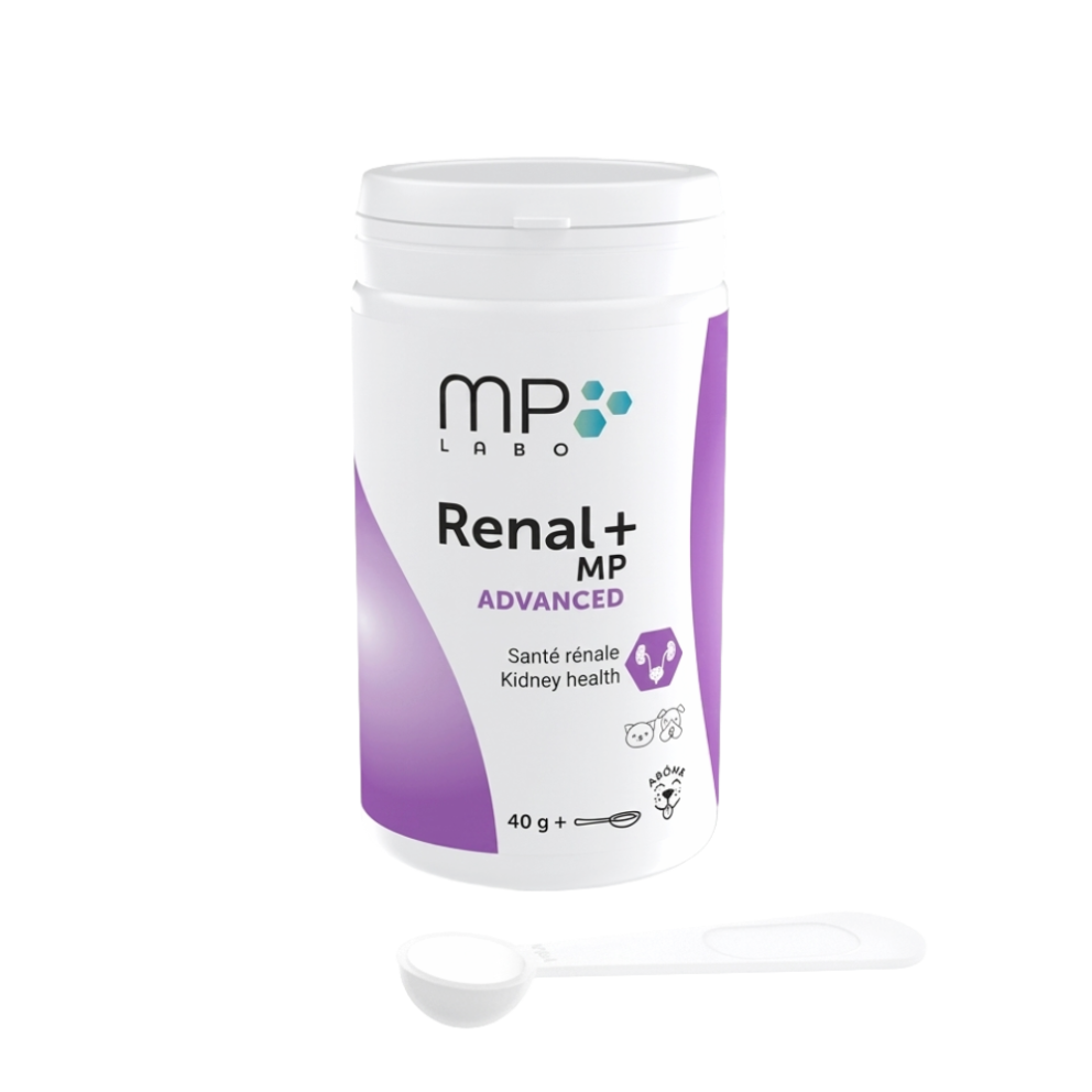 Renal+_MP_advanced