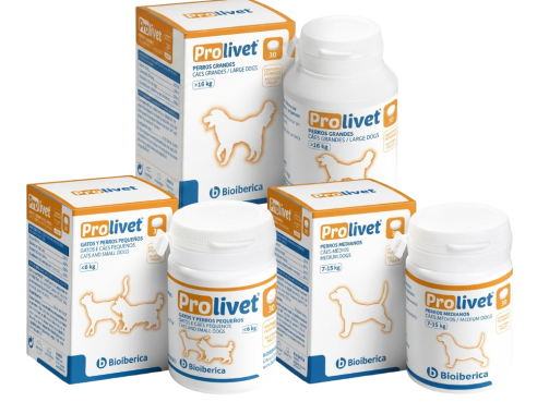 Prolivet_group