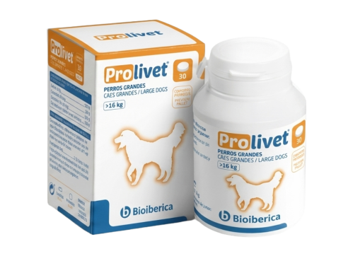 Prolivet_large_breed_dogs