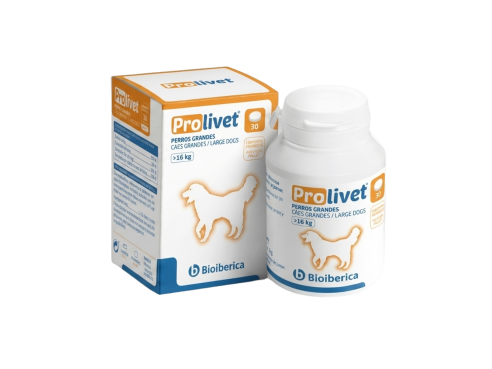 Prolivet_large_breed_dogs
