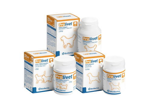 Prolivet_group