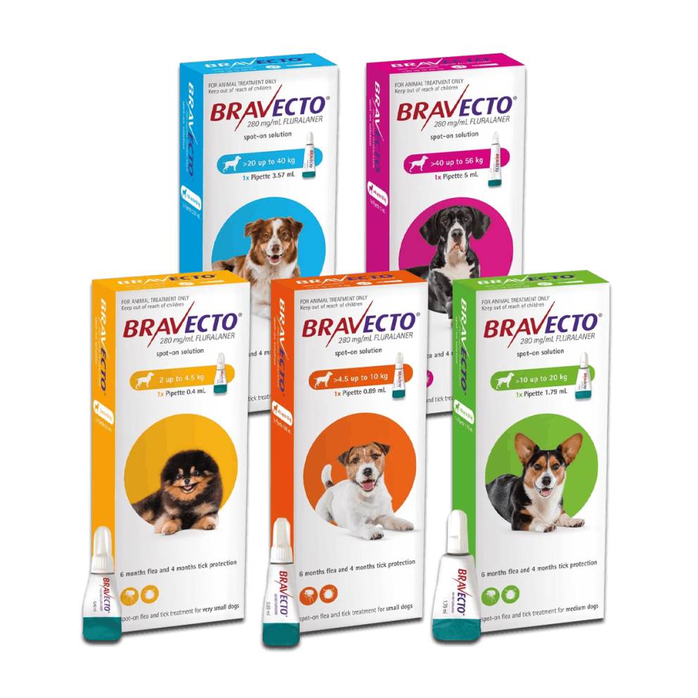 Bravecto_spoton_group