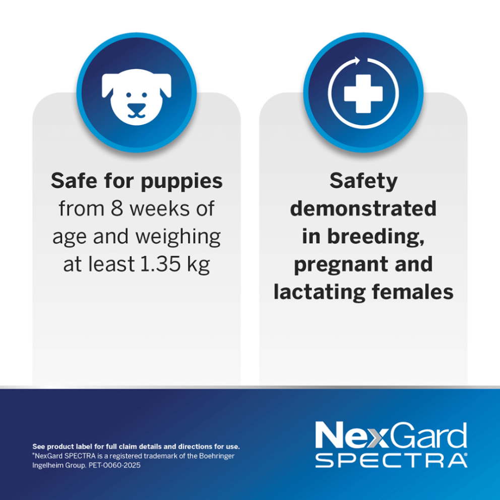 Nexgard-spectra-dog-function-2