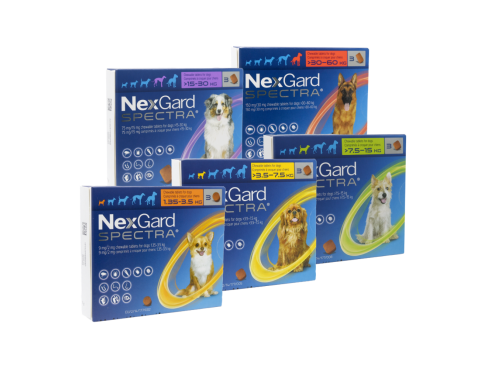 Nexgard_Spectra_group