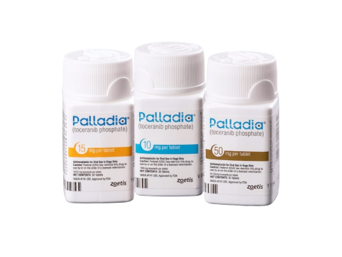 Palladia_group