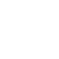 icon-Standard_Delivery