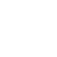 icon-Express_Delivery