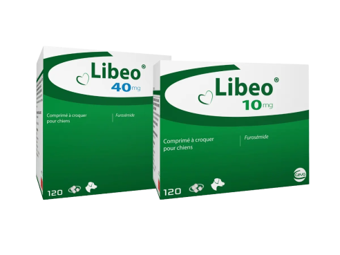 Libeo_group