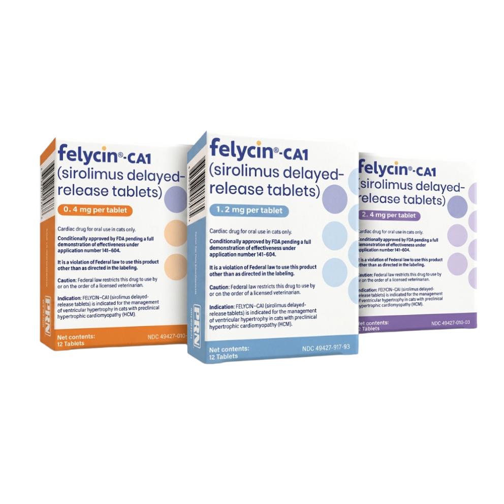Felycin-ca1_group