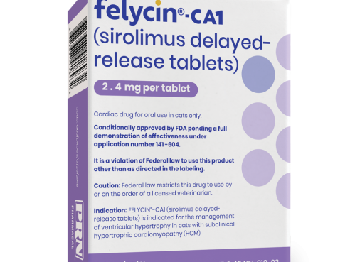 Felycin-ca1_2.4mg
