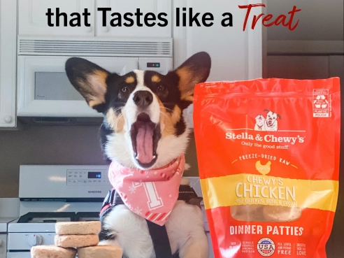 S&amp;C_dog_Freeze_Dried_Dinner_Patties_Chewy_s_Chicken_5.5oz_1.1