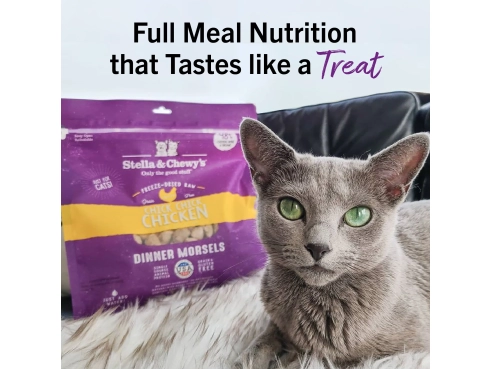 S&amp;C_cat_freeze-dried__chickchick_chicken_3.5oz_2