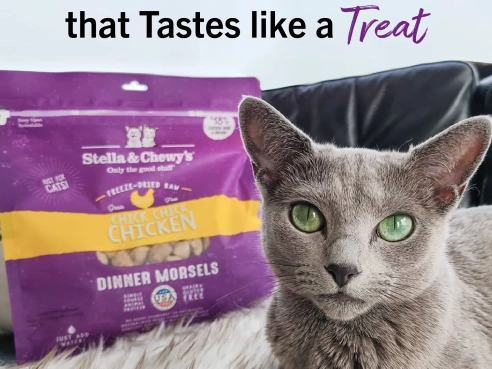 S&amp;C_cat_freeze-dried__chickchick_chicken_3.5oz_2