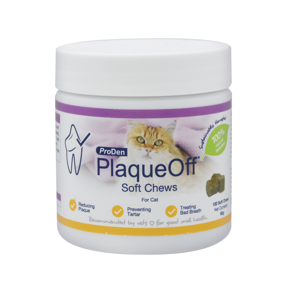 Plaque_off_soft_chews_cat_01