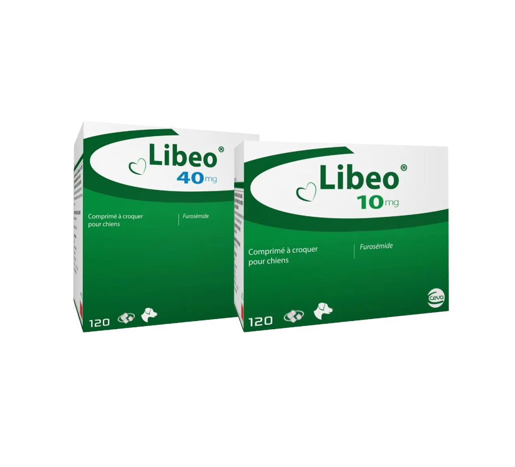 Libeo_group