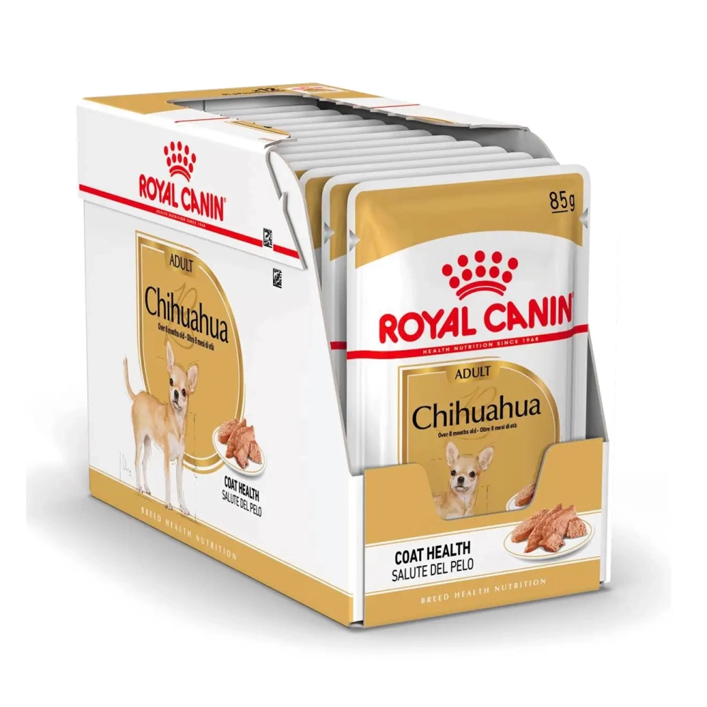 Chihuahua_Adult_Loafx12