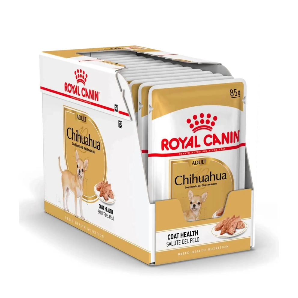 Chihuahua_Adult_Loafx12