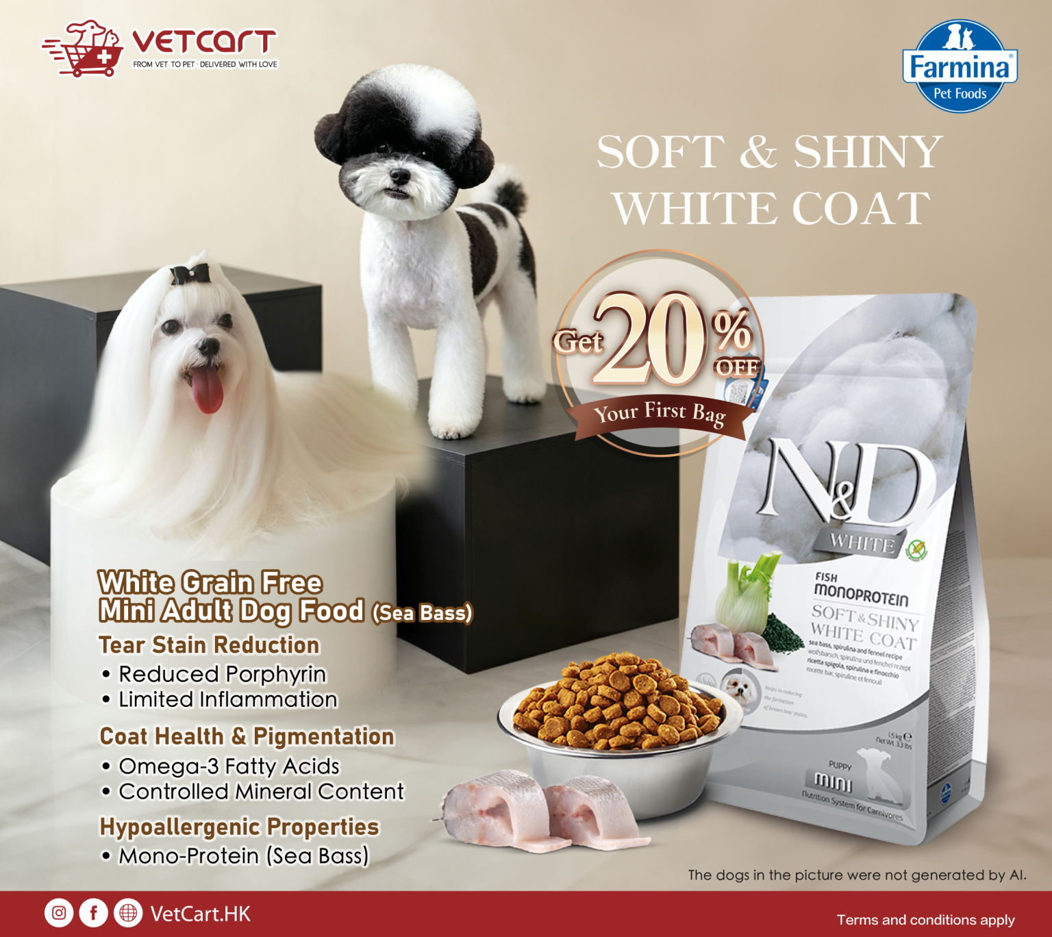 20260518_WhiteHair_Banner_Responsive_1536x1368px_2-01