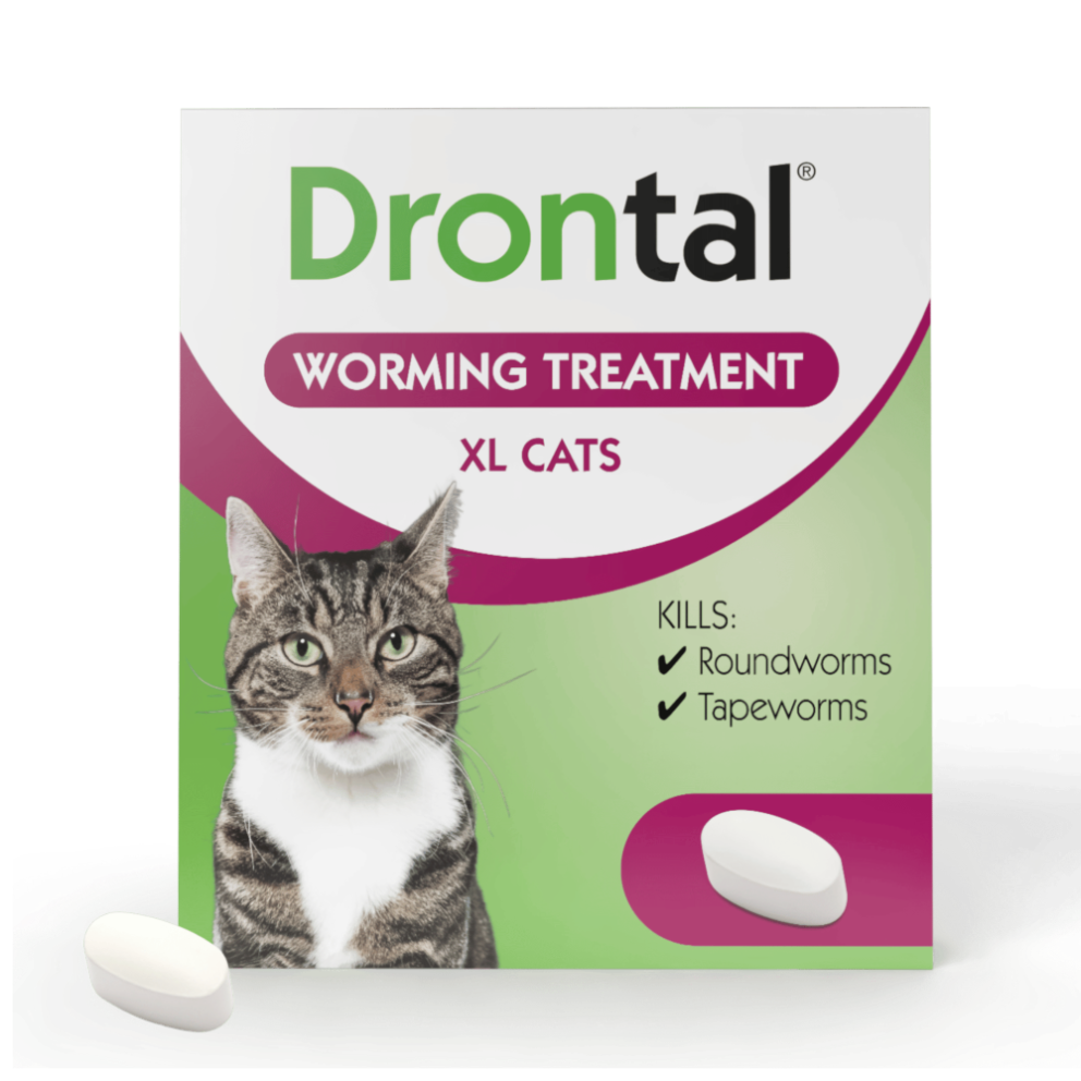Drontal_Cat_XL
